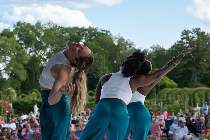 The Hartford Dance Collective Picture 10