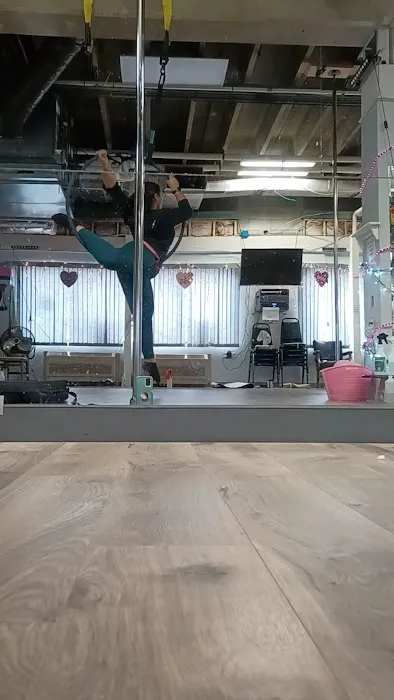 Spinning Harts Pole and Dance Studio Picture 1