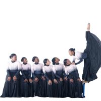 Melodic Movements Performing Arts Program Inc. ico