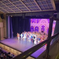 Delaware Dance Company ico