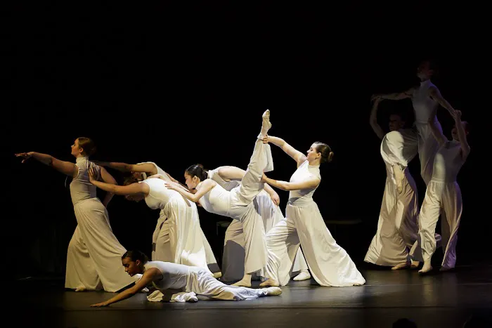 Delaware Dance Company Picture 2