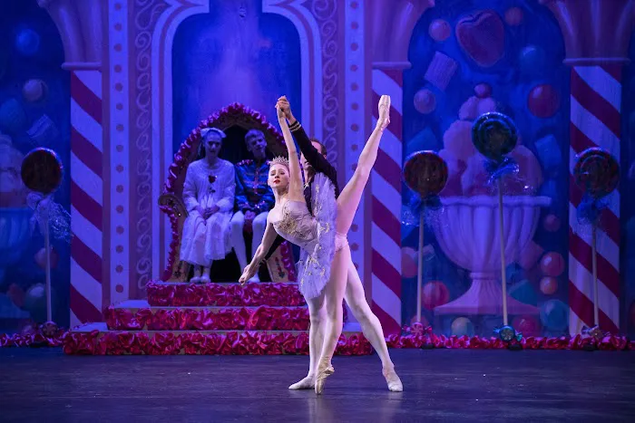 Delaware Dance Company Picture 5