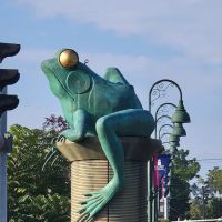 Greater Hartford Academy of the Arts Half Day ico