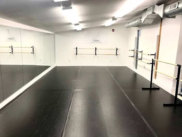 AMA Dance Theatre Picture 1