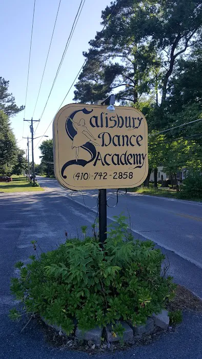 Salisbury Dance Academy Picture 1