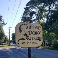Salisbury Dance Academy ico
