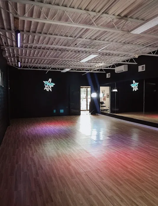 Fierce Dance Academy Picture 1
