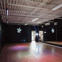 Fierce Dance Academy ico