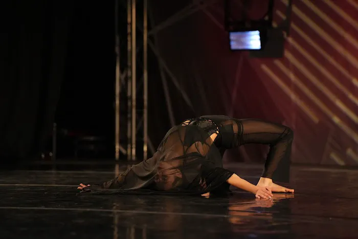 Fierce Dance Academy Picture 8