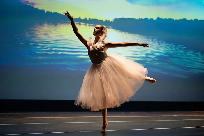 EMC Performing Arts Studio Picture 3
