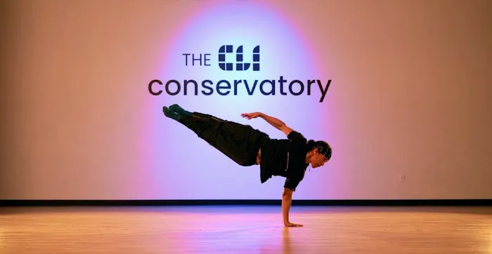 CLI Conservatory Picture 1