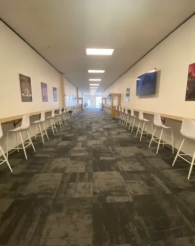 CLI Conservatory Picture 5