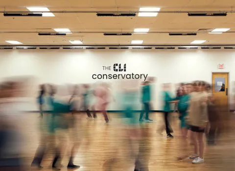 CLI Conservatory Picture 8