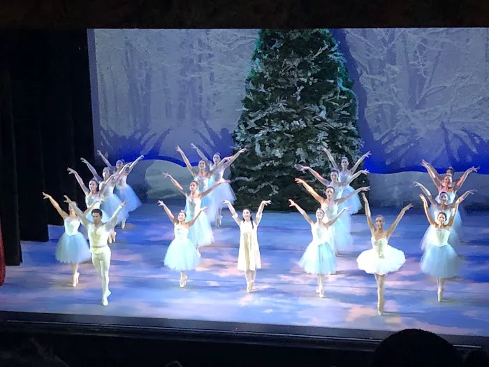 Pioneer Valley Ballet Picture 4
