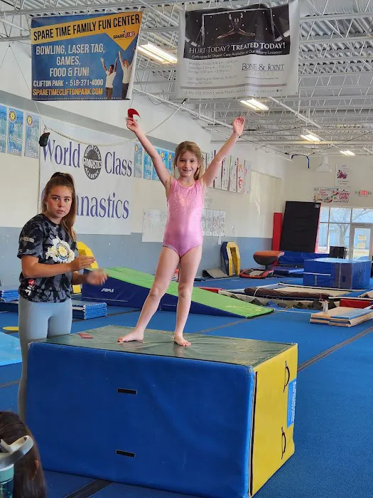 World Class Gymnastics Academy Picture 2