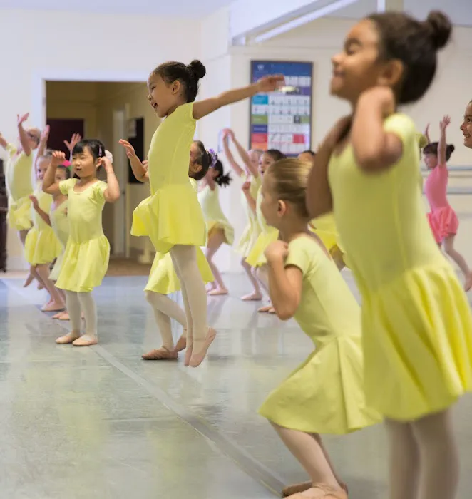 Connecticut Concert Ballet Picture 1