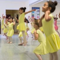Connecticut Concert Ballet ico
