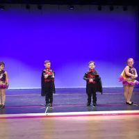 Julie Lang Studio of Dance ico