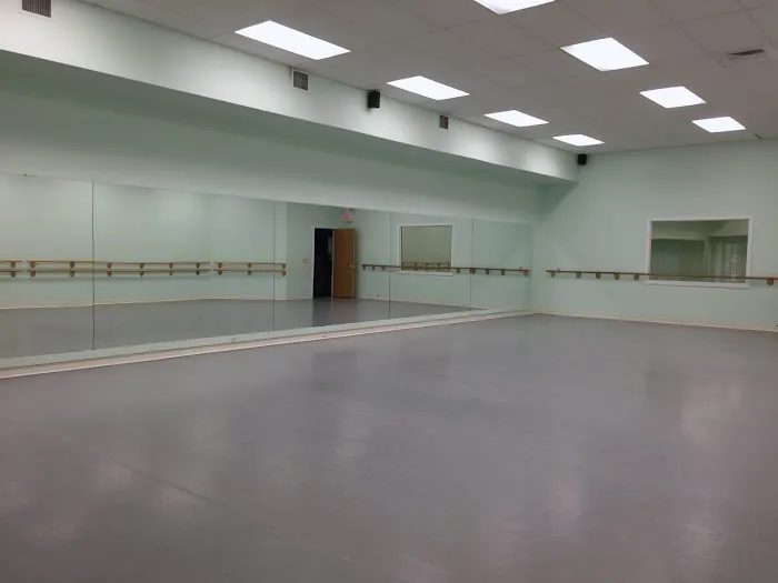 Toriography Dance Company Picture 6