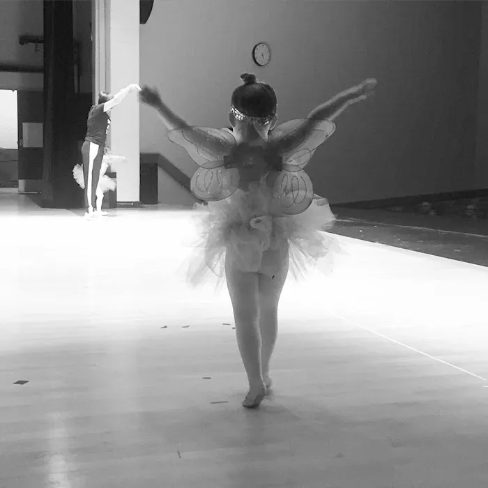 The Dance Company Picture 2