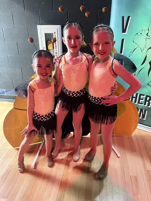Phoenix Dance Company Picture 2