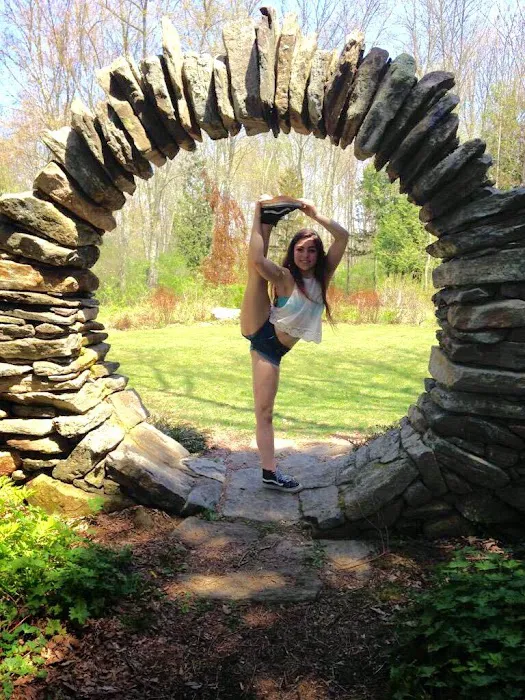 iDance Academy Picture 5