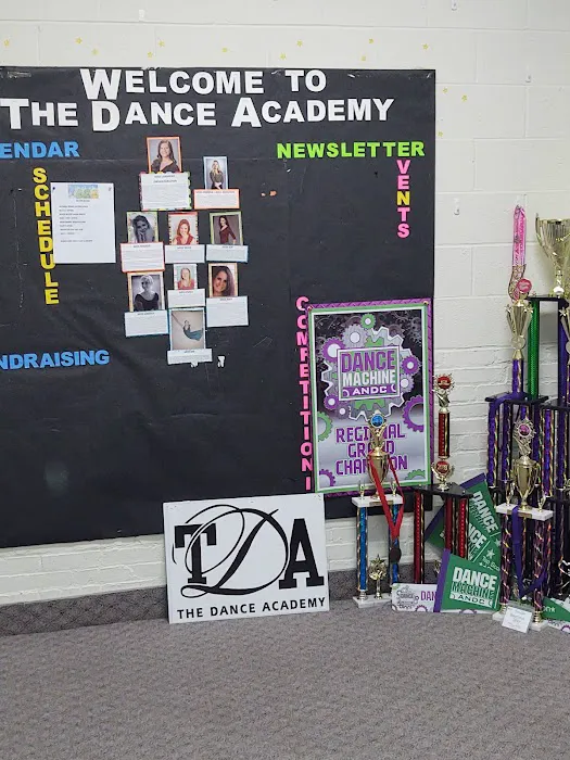 Dance Academy Picture 2