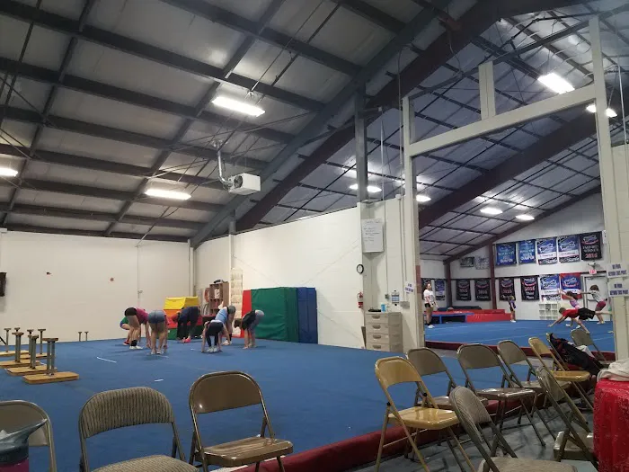 USA Stars Cheer and Dance Picture 1