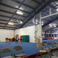 USA Stars Cheer and Dance ico