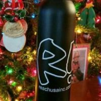 REACH ico