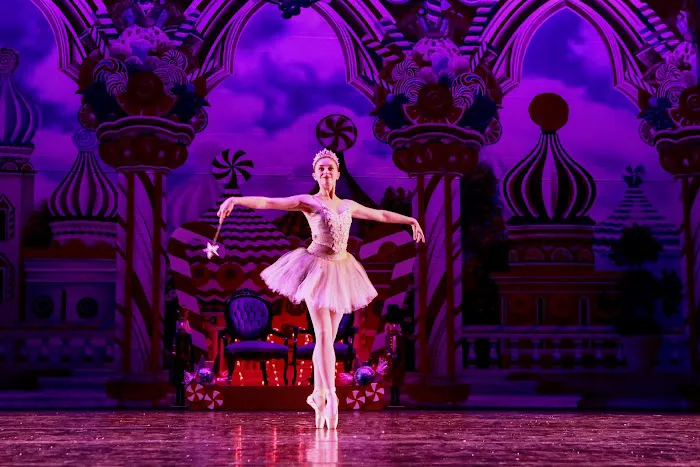Saratoga Springs Youth Ballet Picture 8