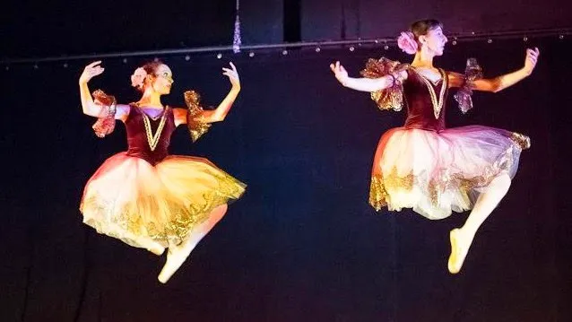 School of the Arts at The National Museum of Dance Picture 1