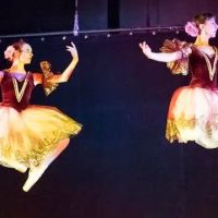 School of the Arts at The National Museum of Dance ico