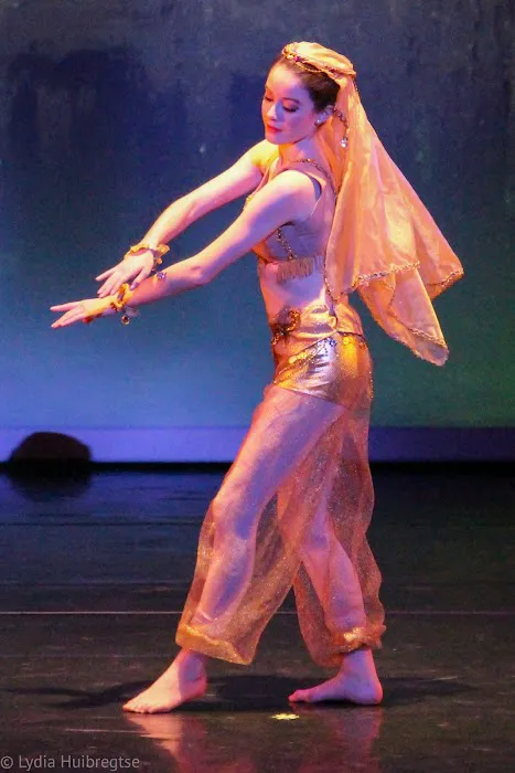 Saratoga City Ballet Picture 6