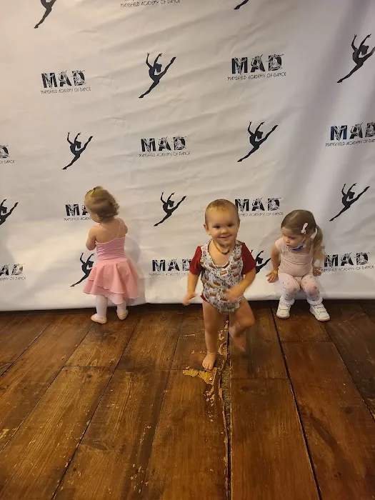 Mansfield Academy of Dance Picture 2