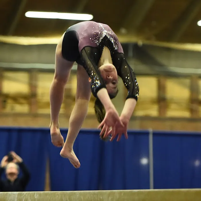 Silk City Gymnastics & Dance Picture 6