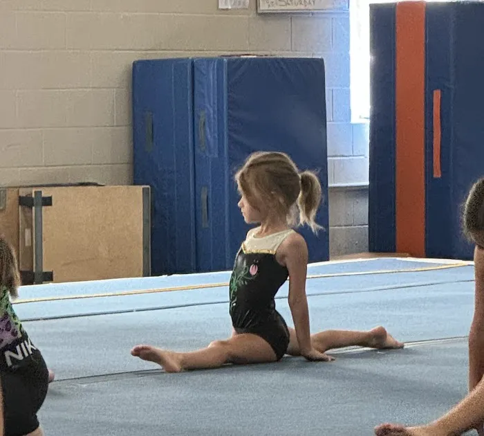Silk City Gymnastics & Dance Picture 8