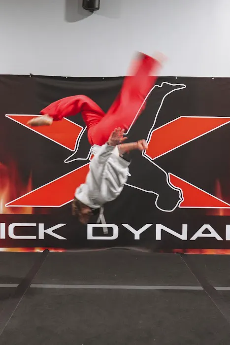 Trick Dynamix Picture 1