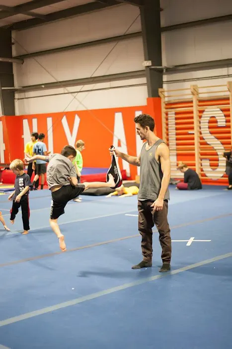 Trick Dynamix Picture 6