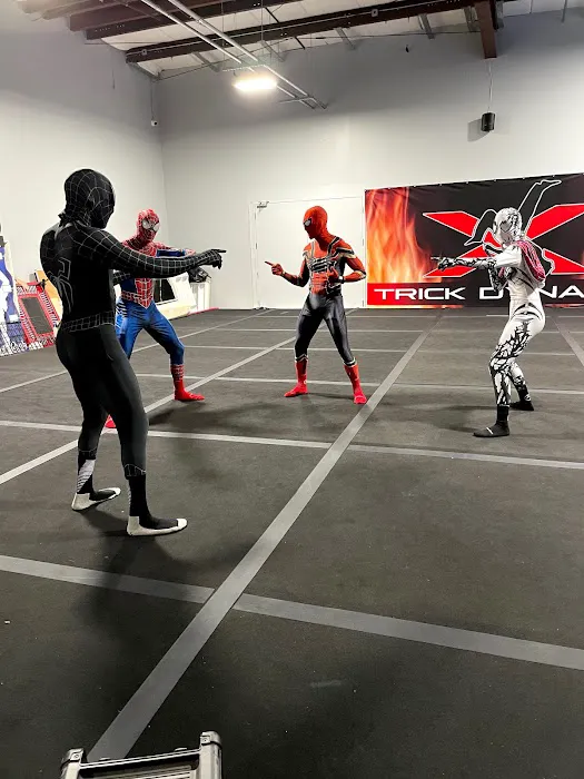 Trick Dynamix Picture 7