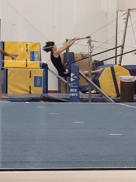 All American Gymnastic & Dance Academy Picture 2