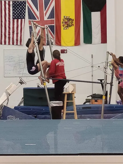 All American Gymnastic & Dance Academy Picture 3