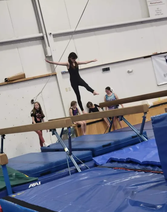 All American Gymnastic & Dance Academy Picture 6