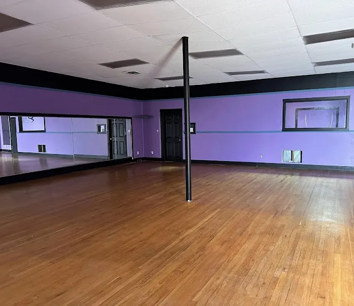 Destined To Dance Academy Picture 3