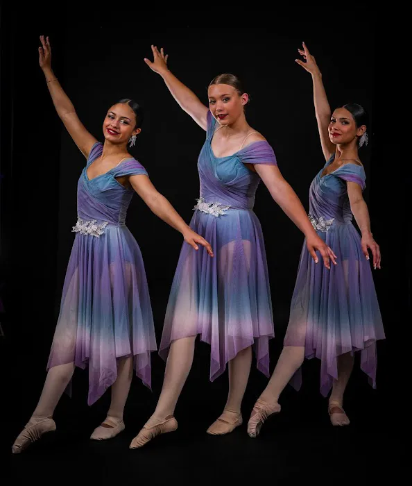 Destined To Dance Academy Picture 1