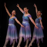 Destined To Dance Academy ico