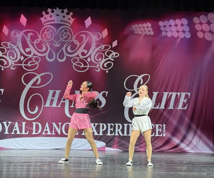 Destined To Dance Academy Picture 4
