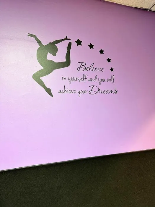 Destined To Dance Academy Picture 8