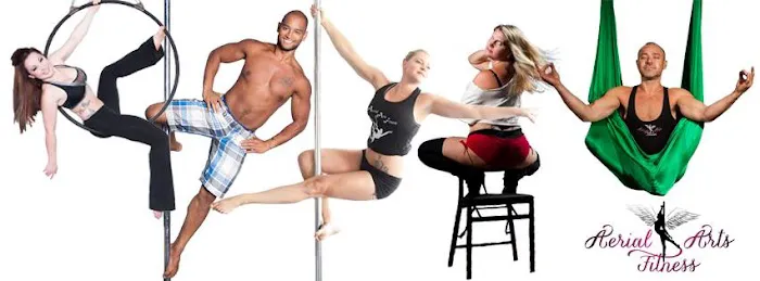 Aerial Arts Fitness Picture 2