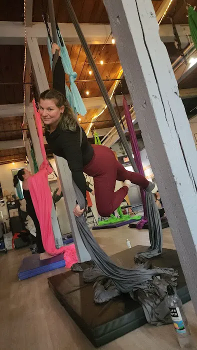 Aerial Arts Fitness Picture 5